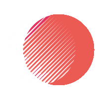 contentandseosolutions.com